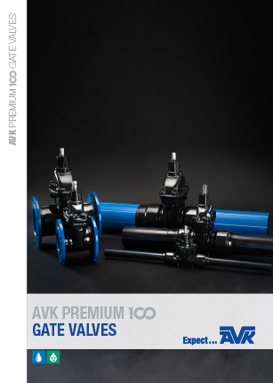 Vane sertar AVK Premium 100