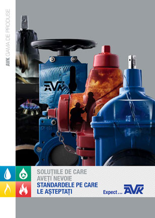 Program de producție